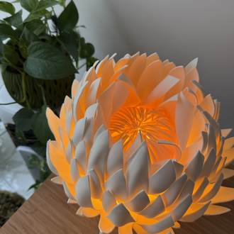 CYNARA