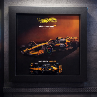 Hot Wheels McLaren F1 Pleksi Çerçeve