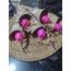 Lale mum buketi (5 adet)
