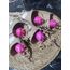 Lale mum buketi (5 adet)