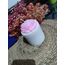 Pembe gül bubble mum