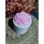 Pembe gül bubble mum
