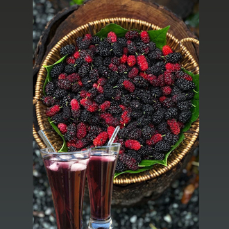 1 kg Karadut şurubu