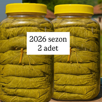 ✅ ✅2 adet bidon (2026) yaprak 