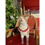 Ekapets kedi köpek yılbaşı yakalığı