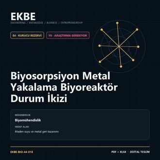 Biyosorpsiyon Metal Yakalama Biyoreaktör Durum İkizi
