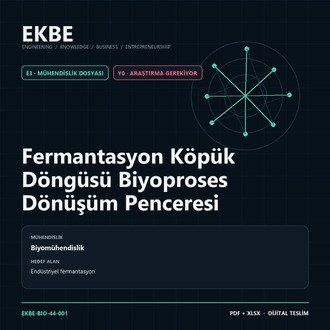Fermantasyon Köpük Döngüsü Biyoproses Dönüşüm Penceresi