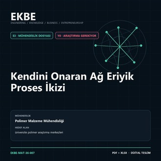 Kendini Onaran Ağ Eriyik Proses İkizi