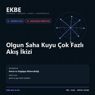 Olgun Saha Kuyu Çok Fazlı Akış İkizi