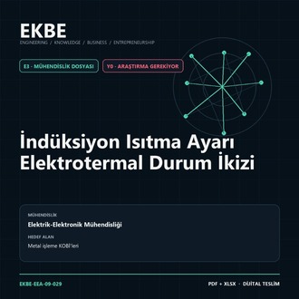 İndüksiyon Isıtma Ayarı Elektrotermal Durum İkizi