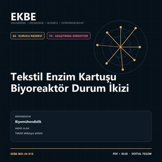 Tekstil Enzim Kartuşu Biyoreaktör Durum İkizi