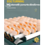 Epo-130my Kuluçka Makinesi | 130 Yumurtalık, Yedek Motorlu İncubator