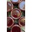 (Şekersiz)-Mayhoş karadut özü-(480 gr)
