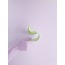*gaga mint