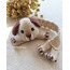 Amigurumi köpek kitap ayracı