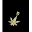 Iced Out Weed