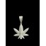 Iced Out Weed