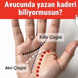 KİŞİSEL EL ANALİZİ ( SESLİ YORUM) 