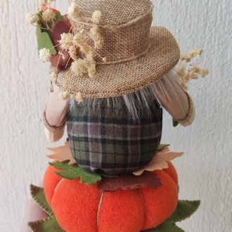 Mr. Pumpkin 