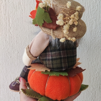 Mr. Pumpkin 