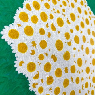 Wild Daisy