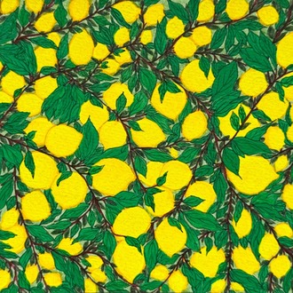 Little Lemon Tree