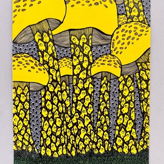 Growth