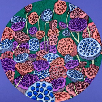 Lotus Pods