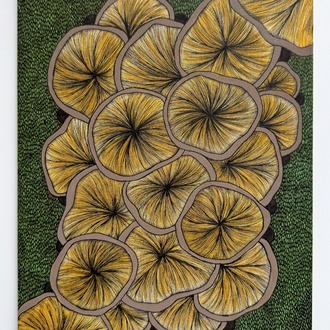 Fungi Gills