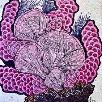 Purple Reef