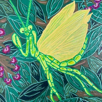 Mantis