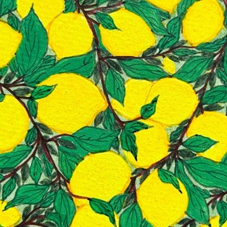 Little Lemon Tree