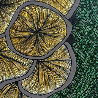 Fungi Gills