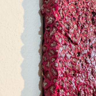 Red Moss