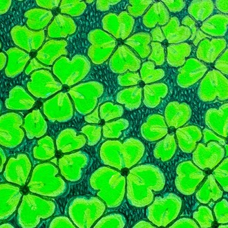 Mini Clover