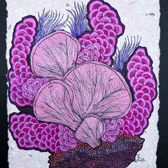 Purple Reef