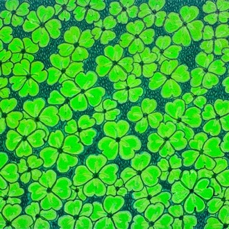 Mini Clover