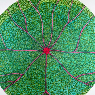 A Leaf