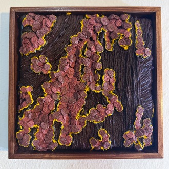 Tree Moss