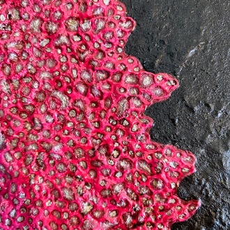 Red Moss