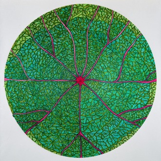 A Leaf