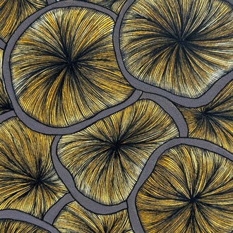 Fungi Gills