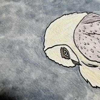 The Owl