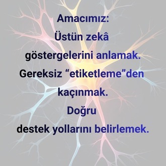 ÜSTÜN ZEKÂ FARKINDALIĞI MENTÖRLÜK PAKETİ