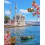 Sayılarla boyama seti