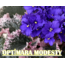 OPTİMARA MODESTY YAPRAK