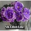NK LİLON LİLA