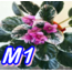 M1 1 NUMARA YAPRAK