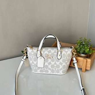 Coach Mini Gallery Bag