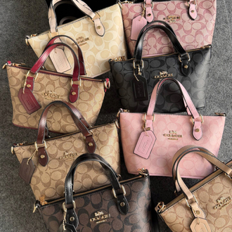 Coach Mini Gallery Bag